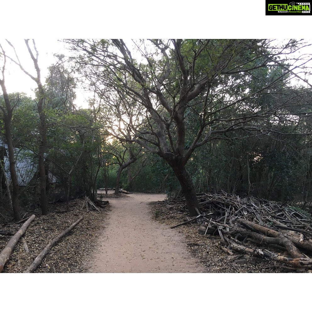 Sri Divya Instagram - @sadhanaforest 💚 is a must visit in #Auroville #Pondicherry. Like the #Auroville, @sadhanaforest also has been transformed from a barren land to a lush green forest by the love of the founders and the volunteers. A calming space to get close to the nature and one’s true nature! ❤️ For volunteering, email India@sadhanaforest.org #manmadeforest #communityliving #veganlife