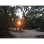 Sri Divya Instagram - @sadhanaforest 💚 is a must visit in #Auroville #Pondicherry. Like the #Auroville, @sadhanaforest also has been transformed from a barren land to a lush green forest by the love of the founders and the volunteers. A calming space to get close to the nature and one’s true nature! ❤️ For volunteering, email India@sadhanaforest.org #manmadeforest #communityliving #veganlife
