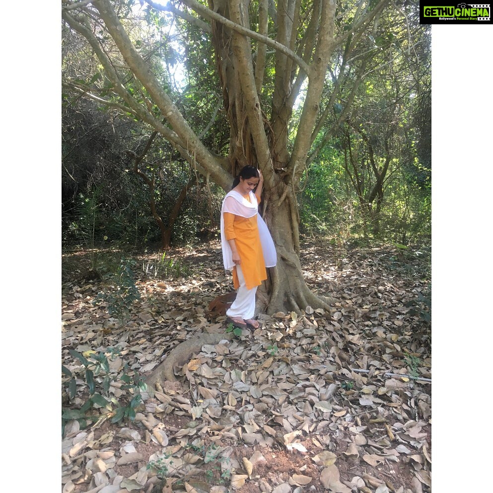 Sri Divya Instagram - @sadhanaforest 💚 is a must visit in #Auroville #Pondicherry. Like the #Auroville, @sadhanaforest also has been transformed from a barren land to a lush green forest by the love of the founders and the volunteers. A calming space to get close to the nature and one’s true nature! ❤️ For volunteering, email India@sadhanaforest.org #manmadeforest #communityliving #veganlife