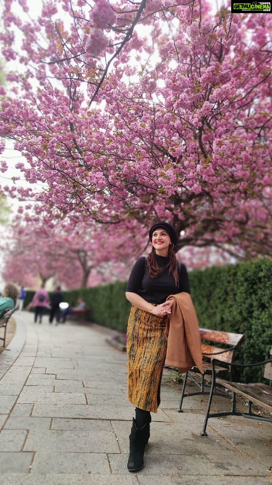 Sridevi Vijaykumar Instagram - There are always flowers for those who want to see them 🌸💕 . . . . . #norway #spring #cherryblossom #oslo #visitnorway #visitoslo #travel #travelphotography #travelgram #throwback #holiday #summerbreak #mytrip #family #holidaypics #instafeed #instafam #instapic #memoriesforlife #beautifuldestinations #beauty #bliss #flowers #love #happiness #perfect #weather #wannagoback