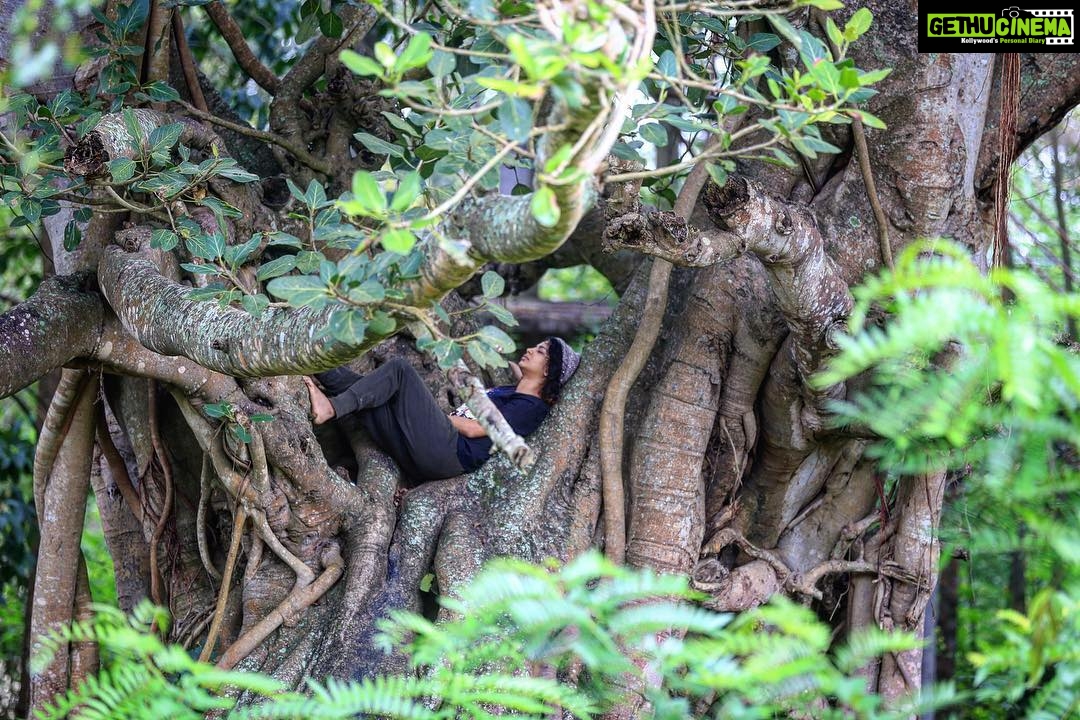 Srinda Instagram - Existence has no Language : Nature Loves to HIDE .🐲 Masinigudi, Tamil Nadu, India