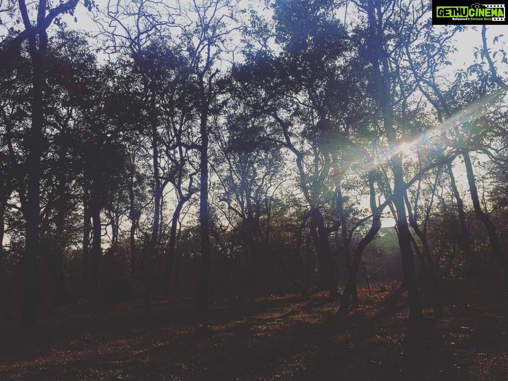 Srinda Instagram - I forget where we were🦋