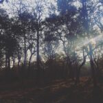Srinda Instagram – I forget where we were🦋