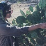 Srinda Instagram - 🌵 Mudumalai Tiger Reserve