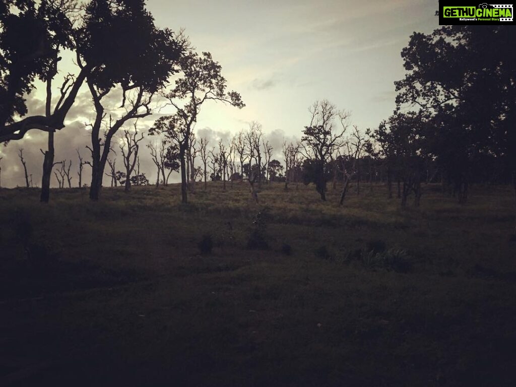 Srinda Instagram - Morning ❤️️ #my🚀 Mudumalai Tiger Reserve