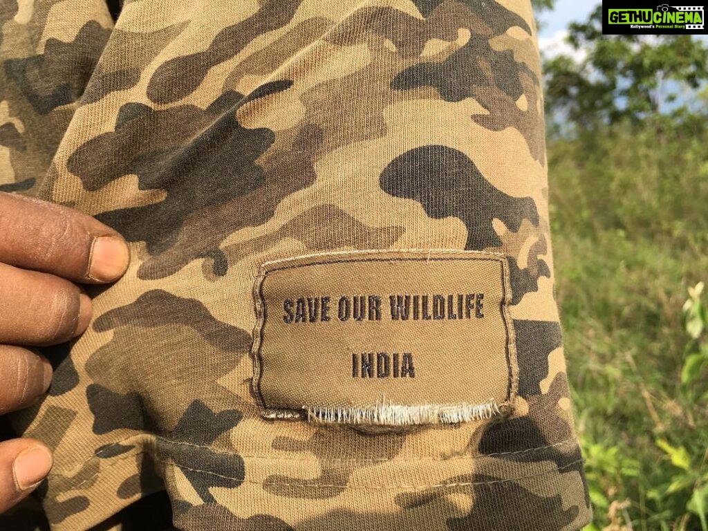 Srinda Instagram - #saveourwildlife Bandipur Forest