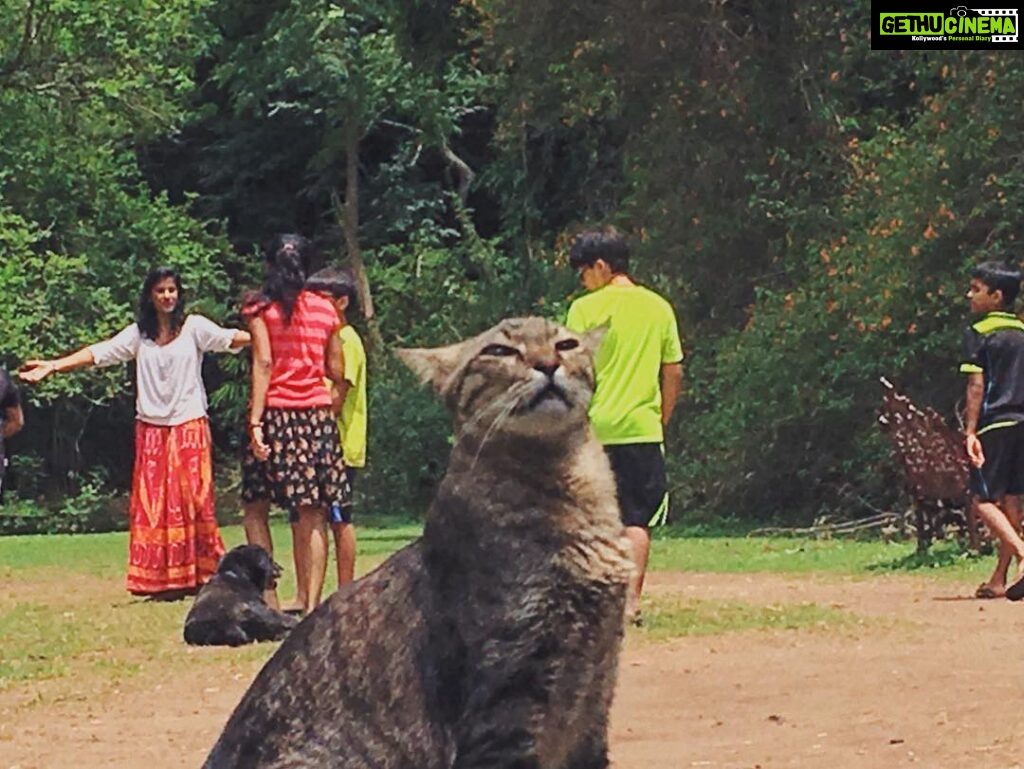 Srinda Instagram - #catface 😽