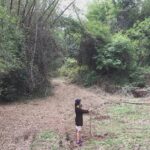 Srinda Instagram – Lost in woods 🍂🍃 #wildchild