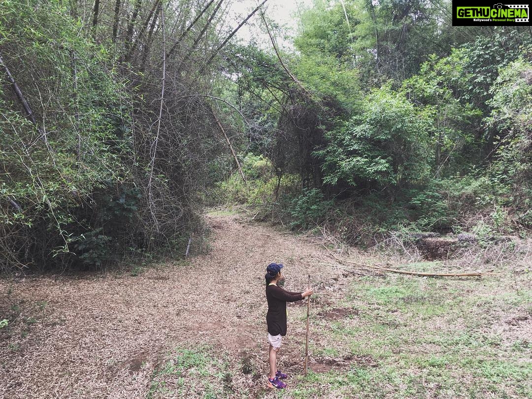 Srinda Instagram - Lost in woods 🍂🍃 #wildchild