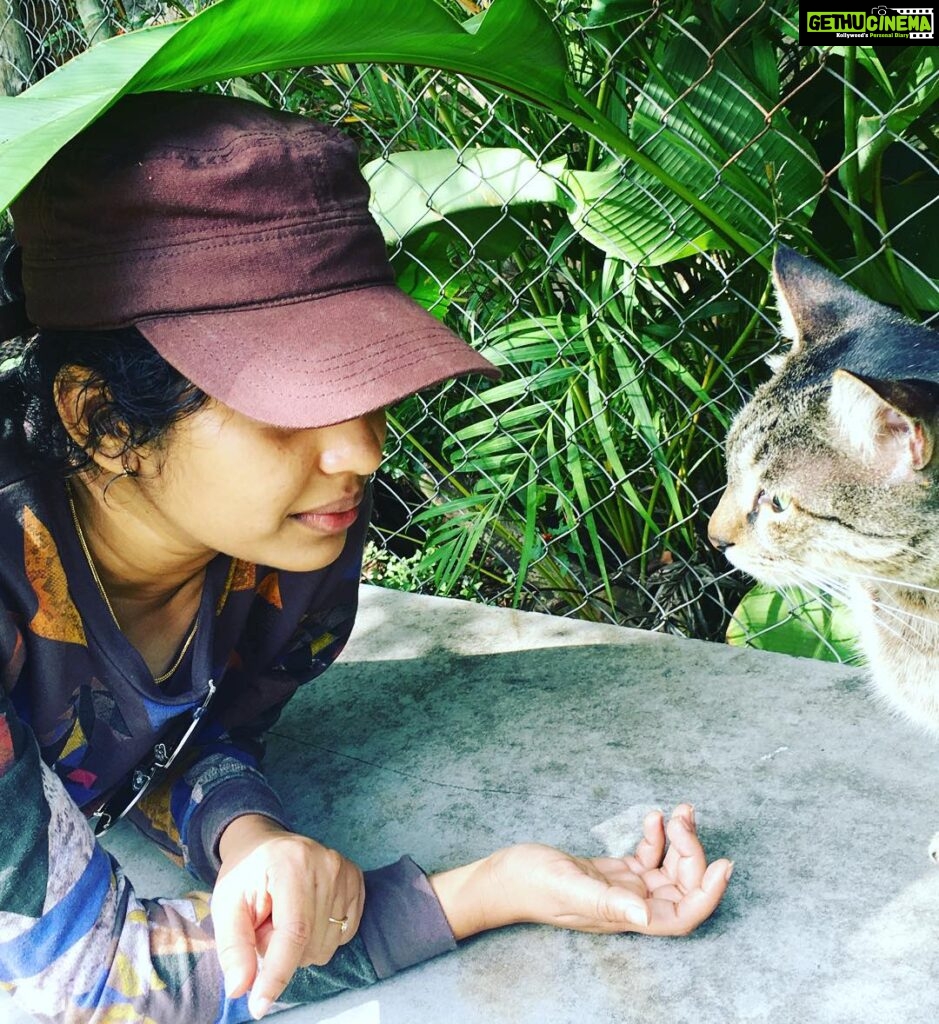 Srinda Instagram - #catlove 😘 Masinagudi, Mudhumalai