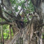 Srinda Instagram - #vrikshasana #treepose