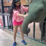 Srishti Jain Instagram – From feeding this cutie to writing my hearts desires on a golden leaf for Buddha❤️ this trip was so enriching! Experiencing Phuket was so much fun! The food, the beaches, the culture! The people! I had a wonderful time! 
.
.
.
.
.
.
.
.
.
.
.
.
#newreels #reelsinstagram #video #babyelephants #travel #travelgram #culturalexchange #explore #explorepage #phuket #buddha #love #animals #reelsvideo #newpost #postoftheday #trending #instagram #instagood #instadaily Phuket, Thailand