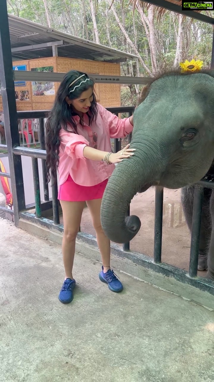 Srishti Jain Instagram - From feeding this cutie to writing my hearts desires on a golden leaf for Buddha❤️ this trip was so enriching! Experiencing Phuket was so much fun! The food, the beaches, the culture! The people! I had a wonderful time! . . . . . . . . . . . . #newreels #reelsinstagram #video #babyelephants #travel #travelgram #culturalexchange #explore #explorepage #phuket #buddha #love #animals #reelsvideo #newpost #postoftheday #trending #instagram #instagood #instadaily Phuket, Thailand