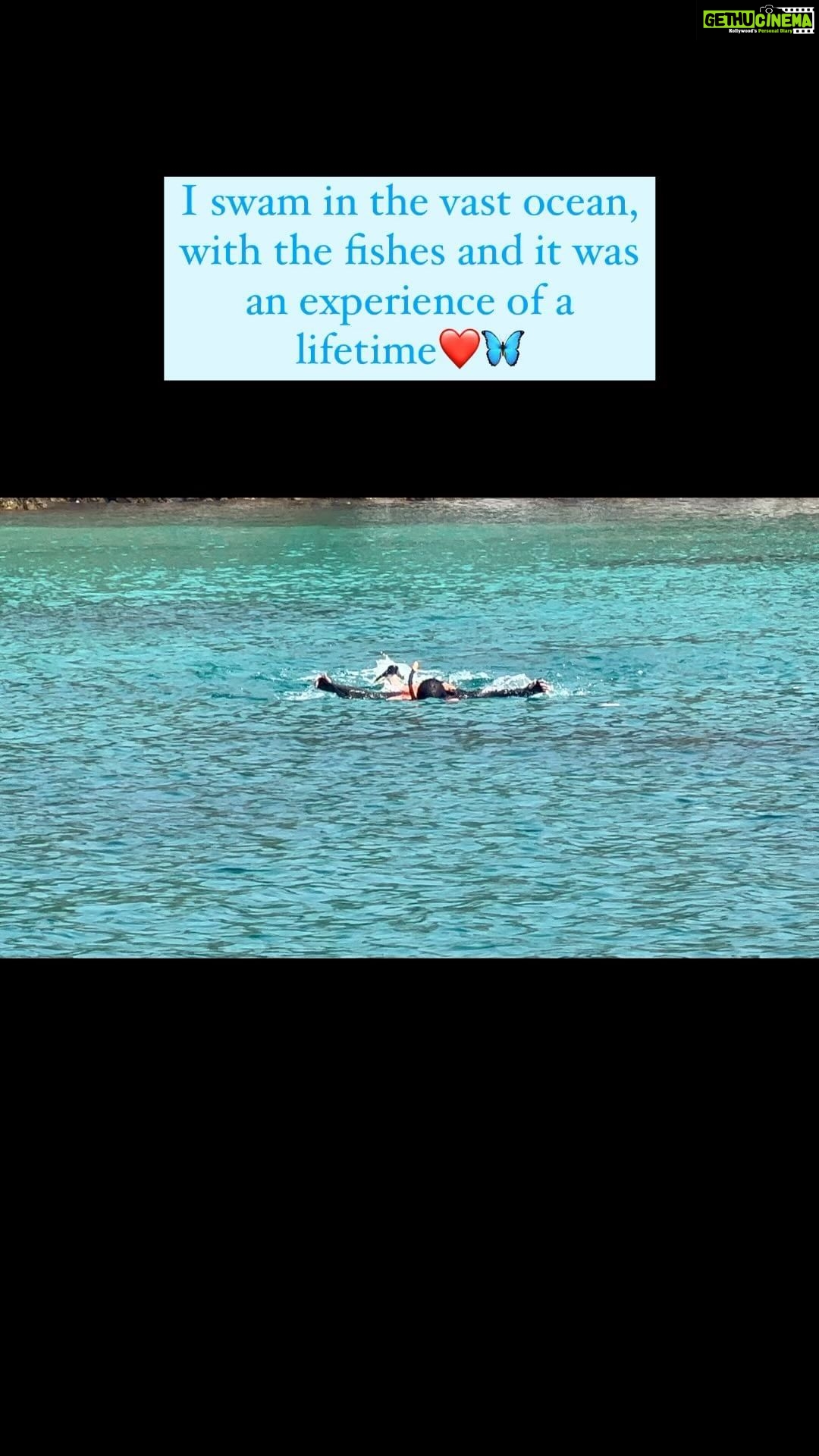 Srishti Jain Instagram - I love swimming and doing that in the vast ocean was just something else! Everything was so quite, all the noises drained , just me and the warm ocean water and the fishes , I could stay there forever. I would do it all again in a heartbeat. . . . . . . . . . . . . . . #ocean #swimming #snorkeling #fishes #blueocean #phuket #beautifuldestinations #instagood #instadaily #instalike #explore #explorepage✨ #newreel #trendingreels