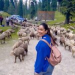 Srishty Rode Instagram - Jannant E Kashmir ❤️ . . . . . . . #kashmir #gulmarg #reelsinstagram #reelitfeelit #reelsindia #reelkarofeelkaro #travelling #travelgram #trending #trendingreels #trendingsongs