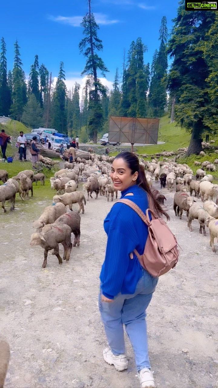 Srishty Rode Instagram - Jannant E Kashmir ❤️ . . . . . . . #kashmir #gulmarg #reelsinstagram #reelitfeelit #reelsindia #reelkarofeelkaro #travelling #travelgram #trending #trendingreels #trendingsongs