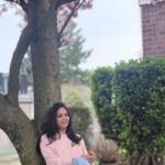Sunitha Upadrashta Instagram - I am and will be super excited to see the blooms again and again. Happy to be here at the right time..My never ending love for cherry blossom🌸🌸