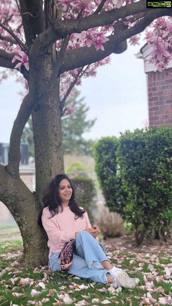 Sunitha Upadrashta Instagram - I am and will be super excited to see the blooms again and again. Happy to be here at the right time..My never ending love for cherry blossom🌸🌸