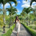 Surbhi Jyoti Instagram - Beneath the open sky 🤍 . . . . . . @mauritius.tourism @chamarel_rum_distillerie #MauritiusNow #FeelOurIslandEnergy #mauritiustourism