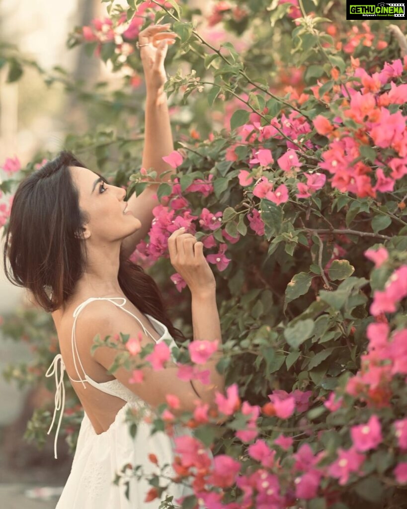 Surbhi Jyoti Instagram - Happiest with plants 🫶🏼
