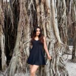Surbhi Jyoti Instagram – #photodumpseries