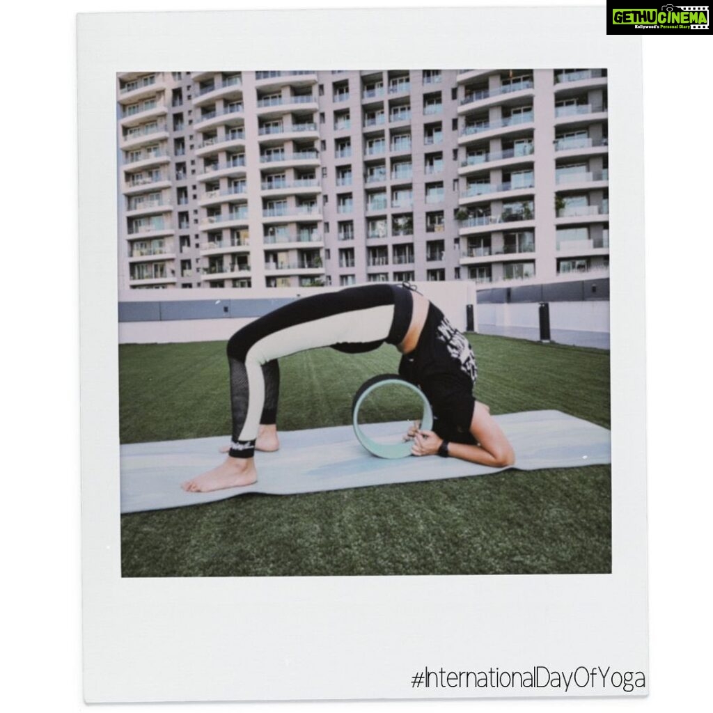 Surveen Chawla Instagram - State of mind; State of life condition; State of pose.. This to me is Yoga! It’s the connect that is unique to all 🧘‍♀ #InternationalDayOfYoga #IntetnationalYogaDay #YogaEveryday