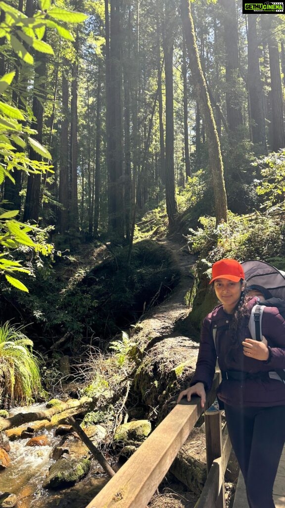 Sushma Raj Instagram - #happyearthday 🌍 Henry Cowell Redwoods State Park