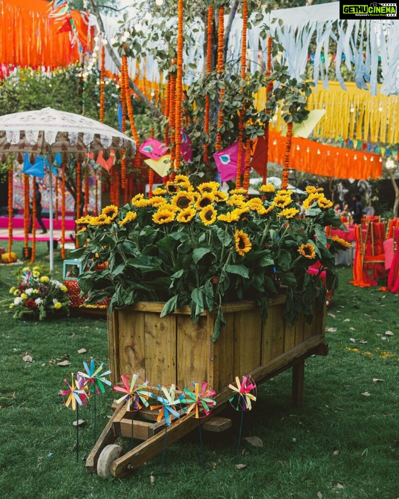 Swara Bhaskar Instagram - #GratitudePost for #SwaadAnusaar : A big heartfelt thanks to the talented @nehamehrotra_27 and her amazing team at @foreignweddingplanners.in for the absolutely stunning decor and design they did for our wedding! 💖🤗 Thank you Neha for visualising, conceptualising and executing to perfection every idea and suggestion that came your way and making it so much better! Every day had a different theme and colour palette and intricate and thoughtful detailing! Thank you capturing all the joy and happiness we felt in the design and decor of #swaadanusaar and truly turning it into the wedding of our dreams! Much love! 🥰 #weddings #weddingdecor #weddingdetails #weddingdecoration #weddingdesign