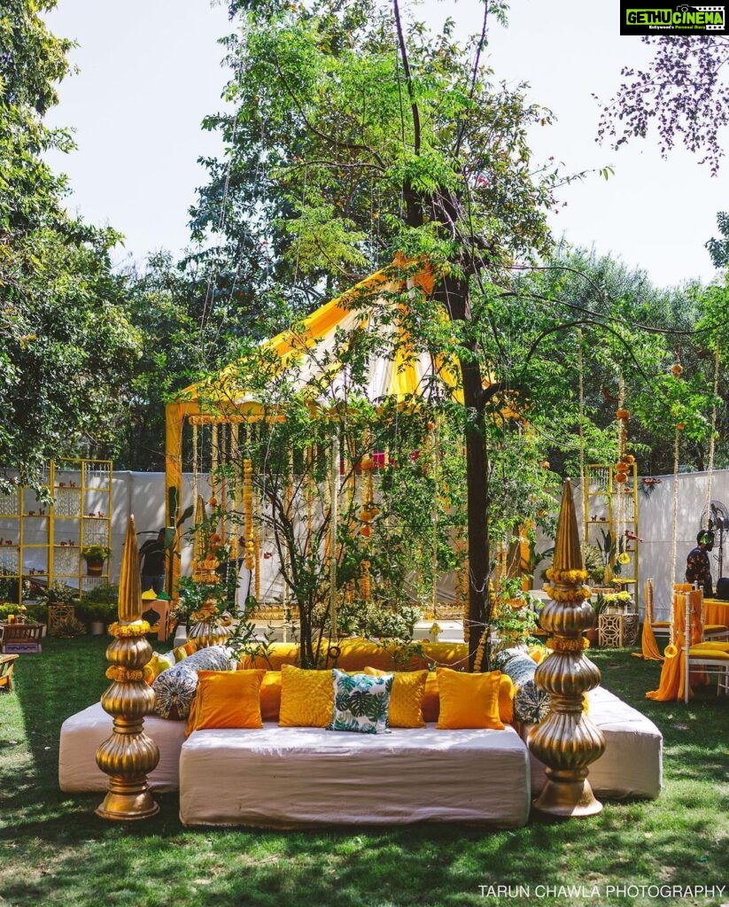 Swara Bhaskar Instagram - #GratitudePost for #SwaadAnusaar : A big heartfelt thanks to the talented @nehamehrotra_27 and her amazing team at @foreignweddingplanners.in for the absolutely stunning decor and design they did for our wedding! 💖🤗 Thank you Neha for visualising, conceptualising and executing to perfection every idea and suggestion that came your way and making it so much better! Every day had a different theme and colour palette and intricate and thoughtful detailing! Thank you capturing all the joy and happiness we felt in the design and decor of #swaadanusaar and truly turning it into the wedding of our dreams! Much love! 🥰 #weddings #weddingdecor #weddingdetails #weddingdecoration #weddingdesign