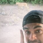 Tovino Thomas Instagram - Selfie with a Simham 😁 #lioness #chobenationalpark #safari #morningsafari #kasane #botswana #africa Chobe National Park, Botswana