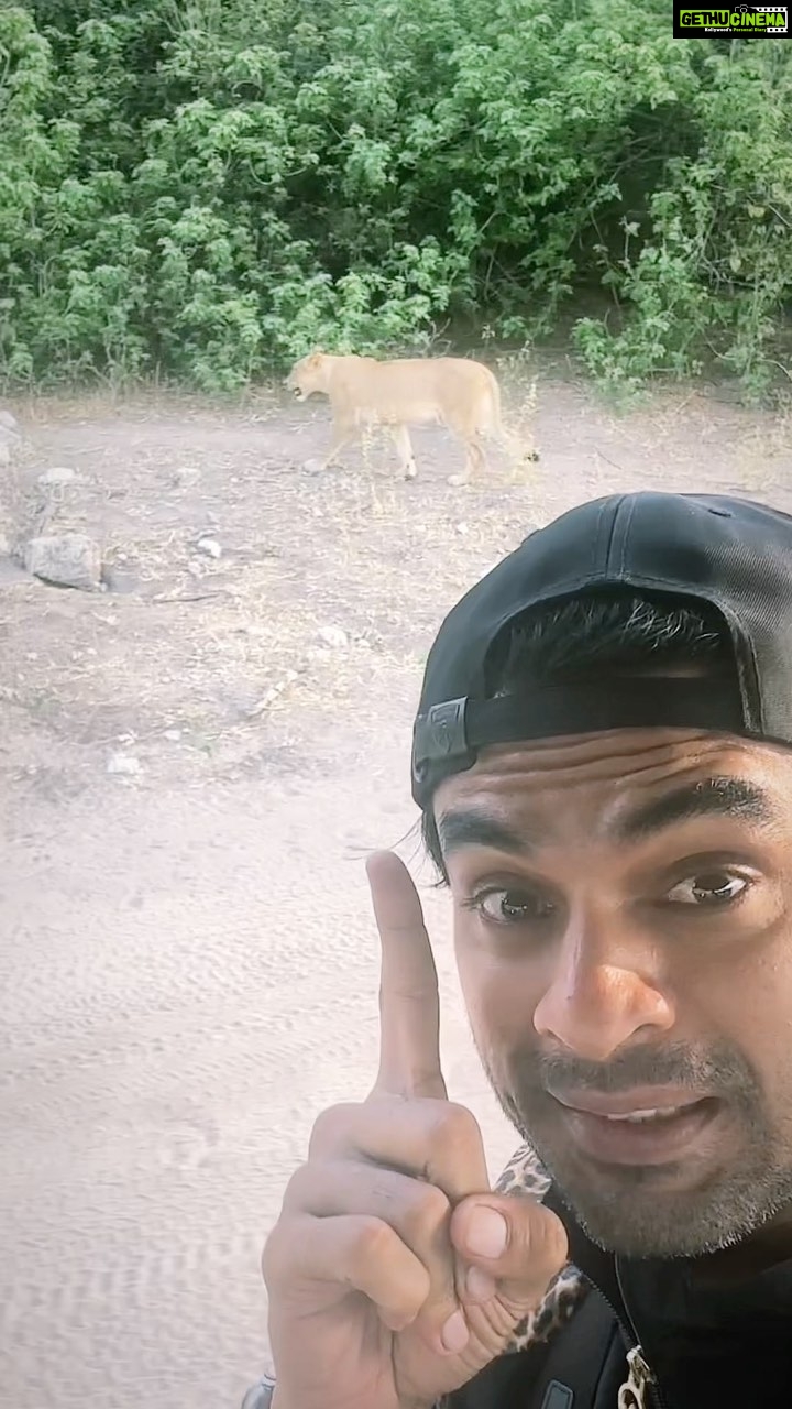 Tovino Thomas Instagram - Selfie with a Simham 😁 #lioness #chobenationalpark #safari #morningsafari #kasane #botswana #africa Chobe National Park, Botswana