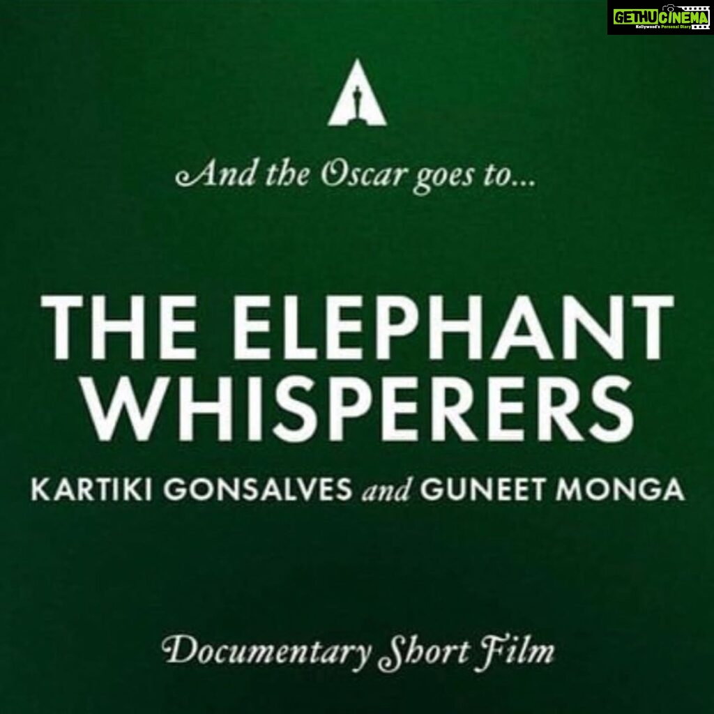 Tovino Thomas Instagram - What a great day for Indian cinema! RRR and The Elephant Whisperers making our presence felt at the Oscars. And what a delight to see our childhood hero Brendon Fraser back in the game! A wholesome Oscars indeed.