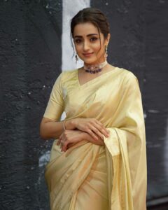 Trisha Instagram - 😇🎬🧿
#thalapathy67 
Wearing @dakshinam_sarees 
Jewellery @grtjewellers 

Styled by @ekalakhani @malinikarthikeyan @team___e 
Hair @rohini_hairstylist 
Makeup @uspawar3 
Shot by @thestoryteller_india