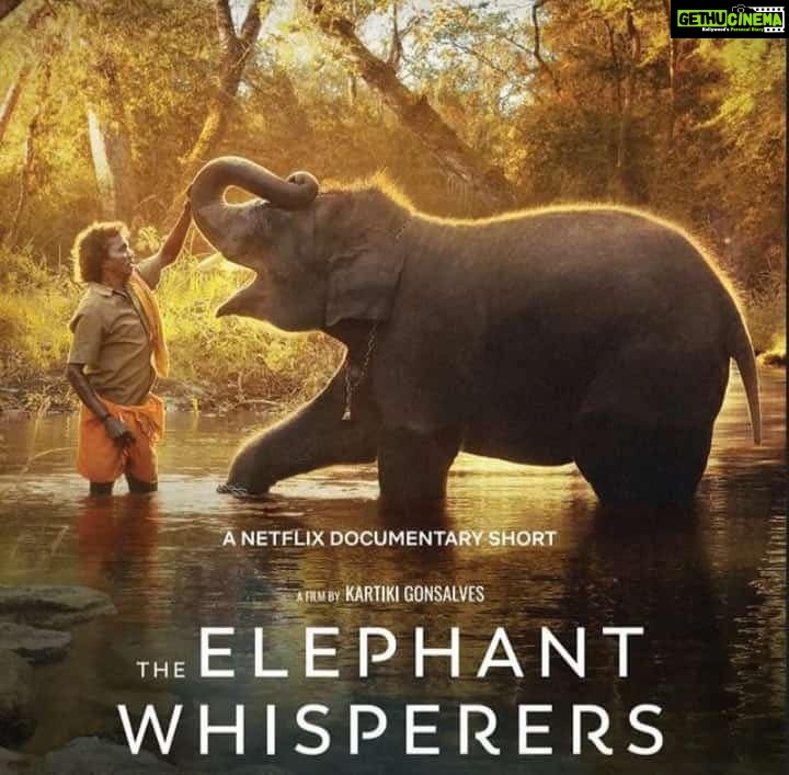 Unni Mukundan Instagram - Congratulations on the Oscar to the entire team of #TheElephantWhisperers! ❤️❤️❤️