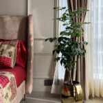 Vani Bhojan Instagram - Nurturing plants is a blissful and therapeutic activity that is also simple and easy to do. A big shout out to @nith_livingwithnature Tharunya who did an excellent job in adorning my house with lush, leafy greenery and specially for helping me choose the apt planters! Also, the best part is you can get the planters customised as per your liking. So, to help you make your space feel brighter and more lively, head on to @nith_livingwithnature and become a proud plant parent just like i did❤️