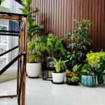 Vani Bhojan Instagram - Nurturing plants is a blissful and therapeutic activity that is also simple and easy to do. A big shout out to @nith_livingwithnature Tharunya who did an excellent job in adorning my house with lush, leafy greenery and specially for helping me choose the apt planters! Also, the best part is you can get the planters customised as per your liking. So, to help you make your space feel brighter and more lively, head on to @nith_livingwithnature and become a proud plant parent just like i did❤️