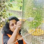 Veena Nair Instagram - ❤️💕❤️ #reelskerala #reelsishttam #reelvideo #meeshamadhavan #kavyadileep❤️😘 #kavyamadhavan #dileep #family #kuruvi #birdslove #familytime #veena #veenaactress #veenanairbigboss #Veenanair #veevibes #iloveinstagram❤️ #instalover #reelstofeelit
