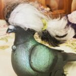 Venkat Kumar Gangai Amaren Instagram - Even the birds need a haircut after the lockdown!!! Pic courtesy my younger daughter #vikruti 😂🤣😂🤣😳