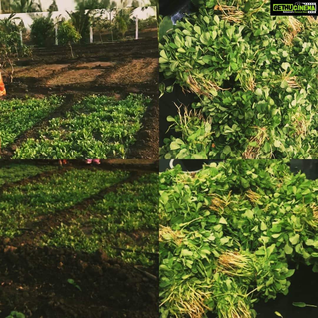 Vennela Kishore Instagram - Khethi ki Methi🤩🤩 #KuppaKuppaKhaathi