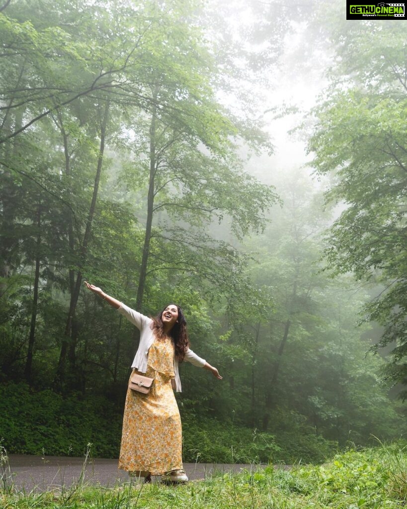 Vidhya Instagram - At The Great Smoky Mountains 💚 #greatsmokymountains #gatlinburg #tennessee