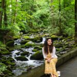 Vidhya Instagram - At The Great Smoky Mountains 💚 #greatsmokymountains #gatlinburg #tennessee