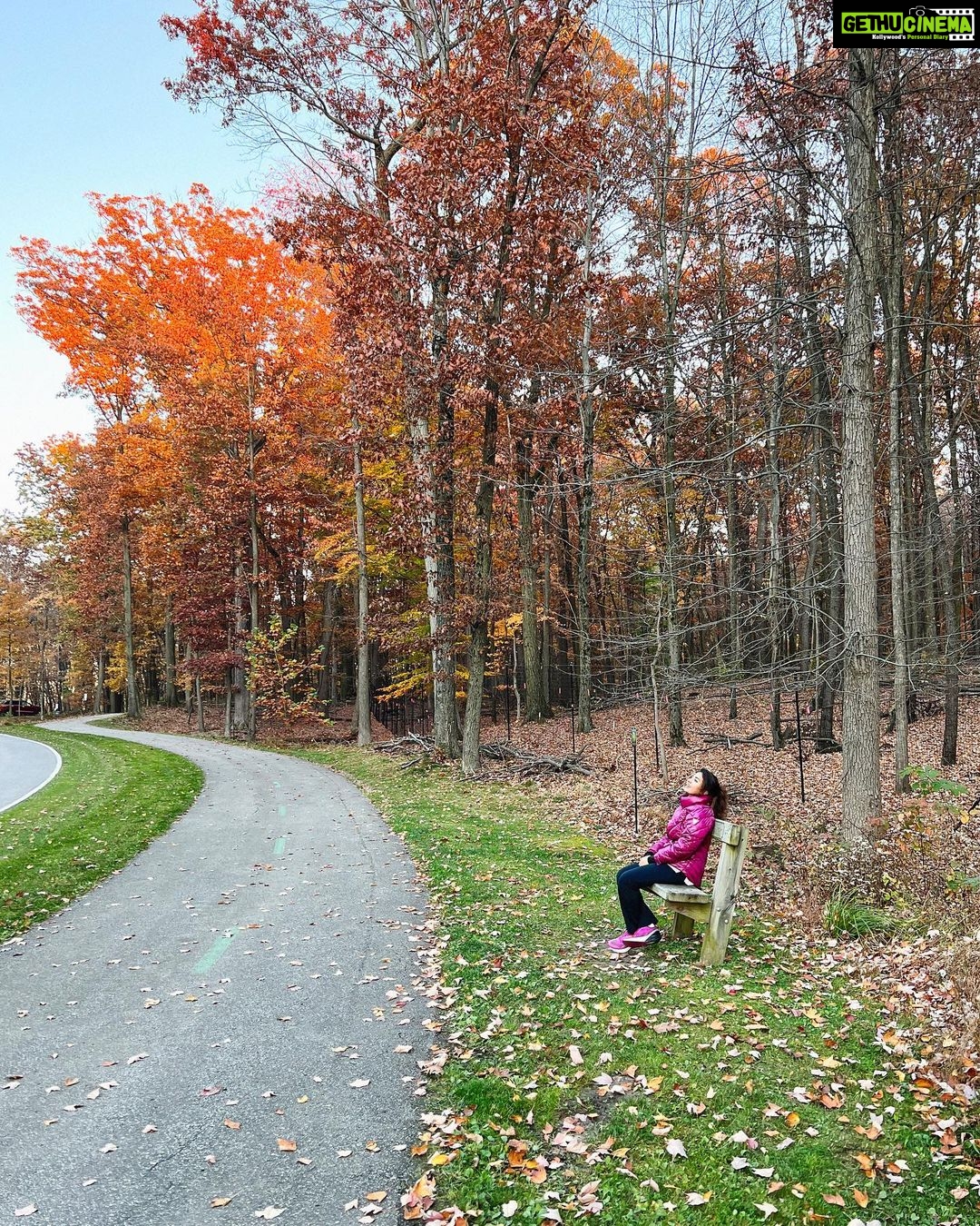 Vidhya Instagram - Another fall, another turned page…🍁🍂