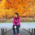 Vidhya Instagram - Another fall, another turned page…🍁🍂