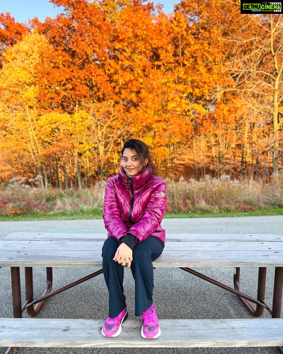 Vidhya Instagram - Another fall, another turned page…🍁🍂