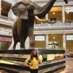 Vidhya Instagram - Washington, D.C. 🏛 Washington (ciudad)