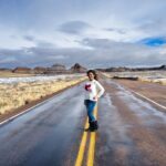 Vidhya Instagram - Painted desert, Arizona 🤎 #petrifiedforest #painteddesert #arizona Painted Desert & Petrified Forest