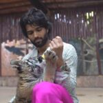 Vijay Deverakonda Instagram - Another memory for life. @sb_belhasa and @fame.park were amazing hosts to this memory ❤️ A beautiful park, happy well taken care of animals, great caretakers - They got me over my biggest fear - snakes, Shared lots of knowledge on animals and let me play with the cutest lion and tiger cubs.
