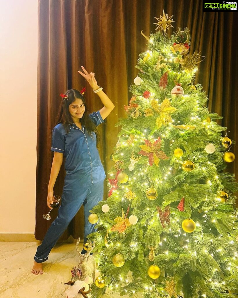 Vijayalakshmi Instagram - Merry everything and a happy always 🎄💚 #celebratinglife #happydecember #christmastime
