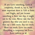 Vinitha Koshy Instagram - Love outlives us all ❣️ #happyvalentinesday 🎀