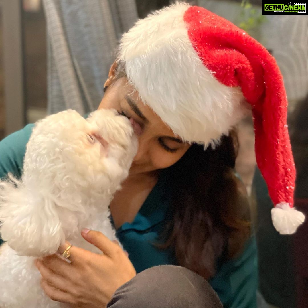 Vinitha Koshy Instagram - Merry Christmas 🎄💫 ⭐️